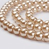Eco-Friendly Glass Pearl Bead Strands X-HY-A008-6mm-RB019-3
