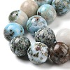Natural Larimar Beads Strands G-P524-A02-05-4