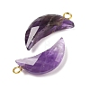 Natural Amethyst Pendants G-L614-D05-G05-2