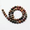 Natural Polychrome Jasper/Picasso Stone/Picasso Jasper Bead Strands G-O155-02B-10mm-2