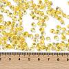 6/0 Spray Paint Fringe Glass Seed Beads X1-SEED-H003-11A-4