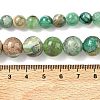 Natural Green Line Jasper  Graduated Beads Strands G-F830-A01-01-6