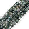 Natural Moss Agate Bead Strands G-J358-01-4mm-1