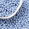 6/0 Glass Seed Beads X1-SEED-L011-08A-23-1