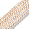 Natural Pearl Beads Strands PEAR-E018-65-1