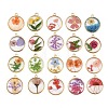 Alloy Epoxy Resin Pendants FIND-Z114-01G-04-1