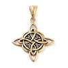 Ion Plating(IP) 304 Stainless Steel Pendants X-STAS-R225-11AG-1