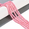 Natural Freshwater Shell Beads Strands BSHE-H109-15B-2