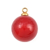 304 Stainless Steel Resin Pendants STAS-K322-10C-02-1