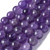 Natural Amethyst Beads Strands G-S031-1-1