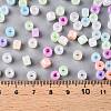 Glass Seed Beads SEED-T008-01-6