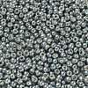 TOHO 6/0 Round Beads X-SEED-TR06-PF0565-3