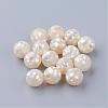 Natural White Shell Beads SSHEL-Q298-10mm-08-1