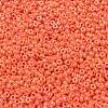 MIYUKI Round Rocailles Beads SEED-G008-RR0424-3