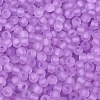 FGB Frosted Transparent Glass Seed Beads SEED-N013-02A-07-3