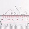 Brass Earring Hooks LS-J0JQN-S-3