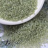 MIYUKI Round Rocailles Beads X-SEED-G007-RR1135-1
