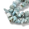 Natural Larimar Beads Strands G-P302-03-5