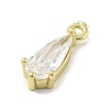 Brass Micro Pave Cubic Zirconia Pendant
s ZIRC-R020-04G-2