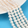 Natural Cultured Freshwater Pearl Beads Strands PEAR-I007-07Y-04A-1