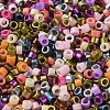 Baking Paint Glass Seed Beads X-SEED-S042-05A-13-3