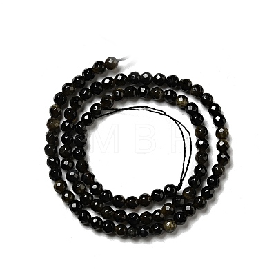 Natural Golden Sheen Obsidian Beads Strands G-P476-01A-04-1