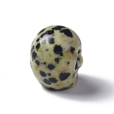 Natural Dalmatian Jasper Beads G-I352-02-1