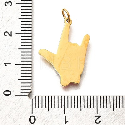 Pride 304 Stainless Steel Enamel Pendants LS-STAS-B079-01G-15-1