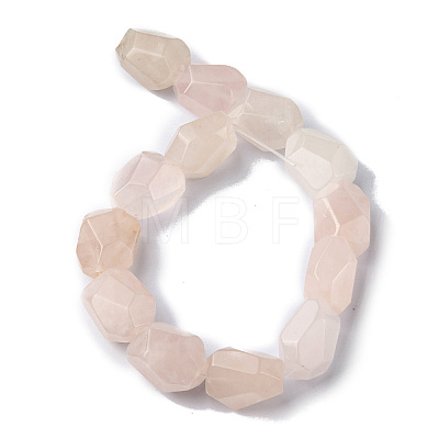 Natural Rose Quartz Beads Strands G-F743-04J-1
