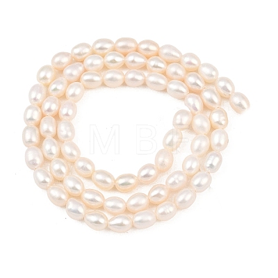 Natural Cultured Freshwater Pearl Beads Strands PEAR-F020-26A-1