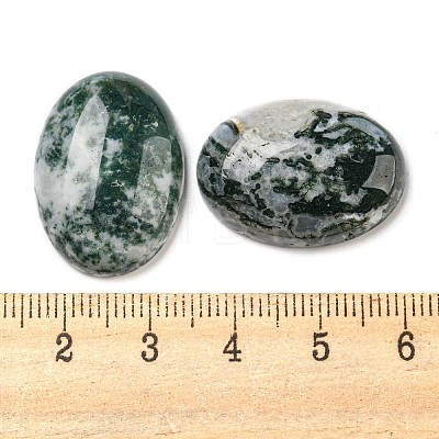 Natural Tree Agate Cabochons G-M430-01-1