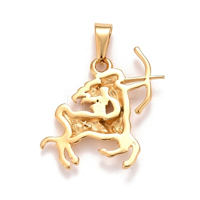 Ion Plating(IP) 304 Stainless Steel Pendants STAS-D165-14G-02-1