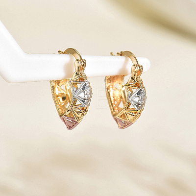 Brass Hollow Hoop Earrings NR0878-3-1