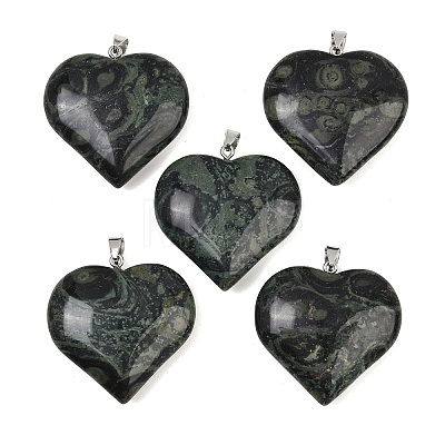 Natural Kambaba Jasper Pendants GG-K002-04G-1