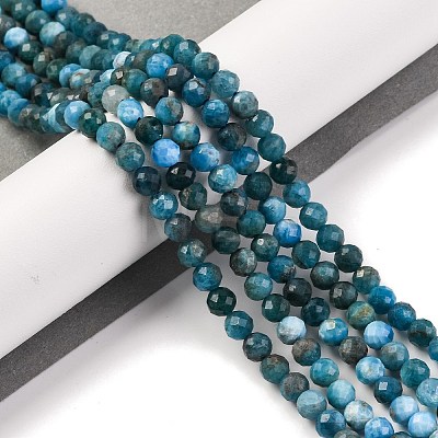 Natural Apatite Beads Strands G-F770-C02-02-1