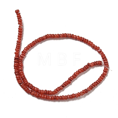 Dyed Natural Freshwater Shell Beads Strands BSHE-G039-07-1