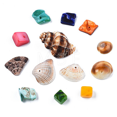 Natural Freshwater Shell & Sea Shell Beads SHEL-S278-038-1
