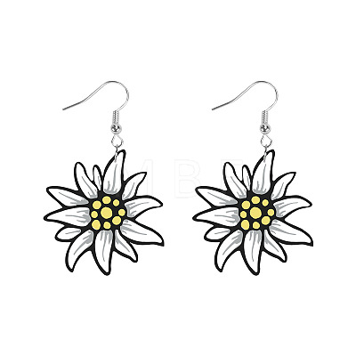 Iron & Acrylic Dangle Earrings for Women WGF0FCA-01-1