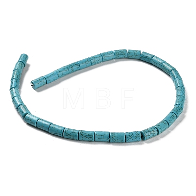 Synthetic Howlite Beads Strands TURQ-F018-06-1