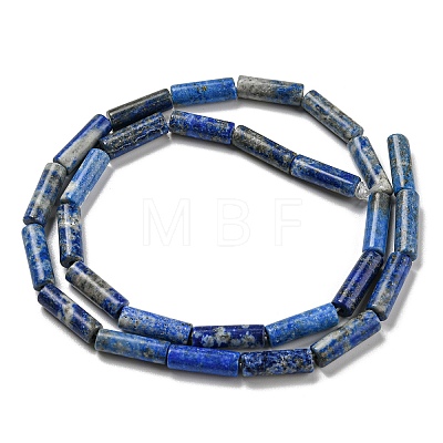 Natural Lapis Lazuli Beads Strands G-C084-B01-01-1