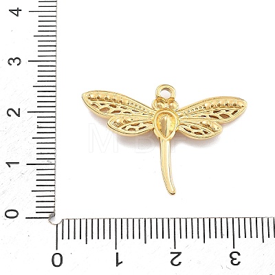 304 Stainless Steel Pendant STAS-R155-033G-1