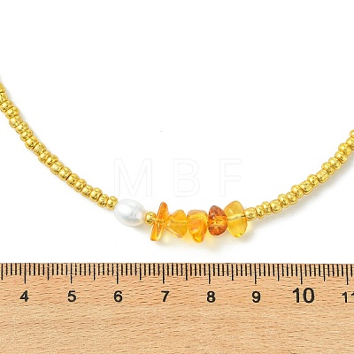 Women's Natural Amber Necklaces NJEW-JN06110-1