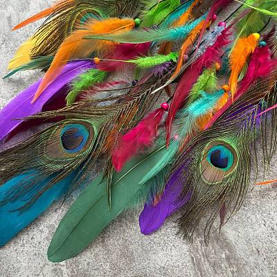 Peacock Acrylic & Woven Net/Web with Feather Hanging Ornaments HJEW-A013-01-1