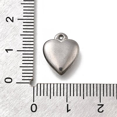 304 Stainless Steel Charms STAS-C119-05P-1