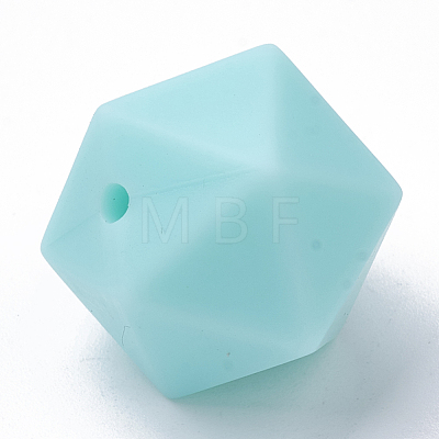 Food Grade Eco-Friendly Silicone Focal Beads SIL-T048-14mm-62-1