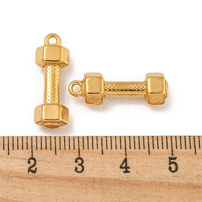 Ion Plating(IP) 304 Stainless Steel Pendants X-STAS-N103-79G-1