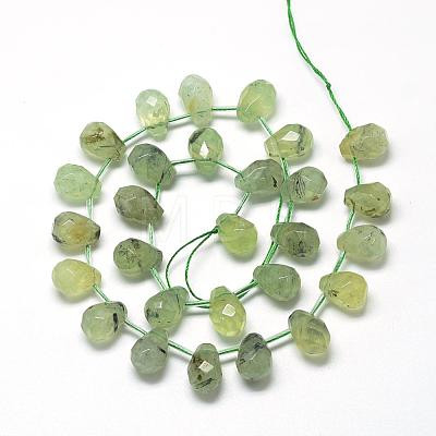 Natural Prehnite Beads Strands G-R435-15J-1