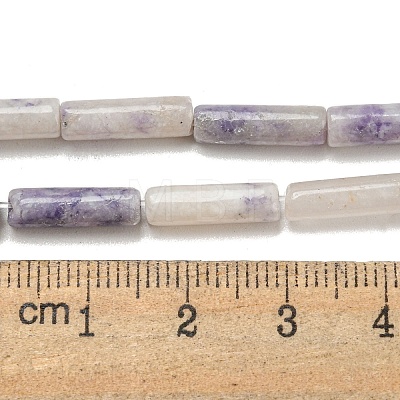 Natural Purple Turquoise Beads Strands G-D464-48-1