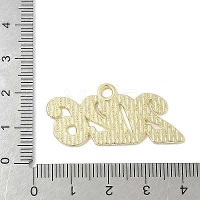 Alloy Pendants FIND-L025-03G-1