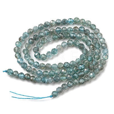 Natural Apatite Beads Strands G-C052-07-1